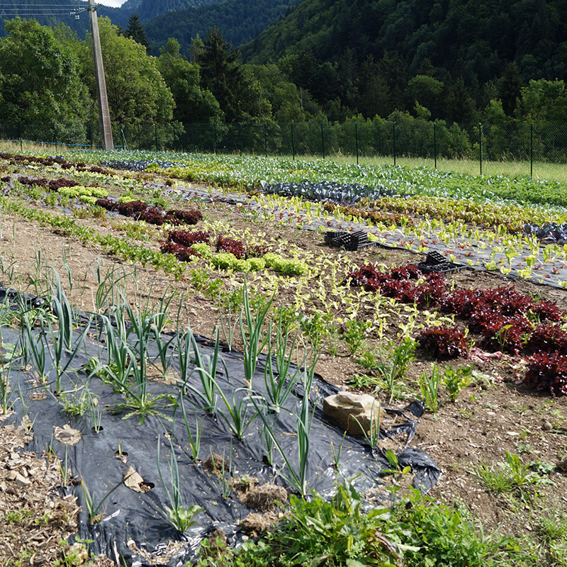 Les Jardins de l'Abbaye, Saint-Jean-d'Aulps
